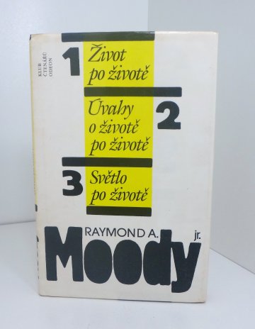 Život po životě, Raymond A. Moody (1991)
