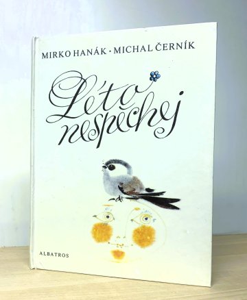 Léto nespěchej, Michal Černík (1987)