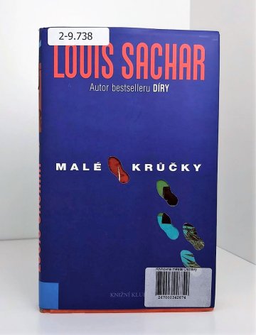 Malé krůčky, Louis Sachar (2008)