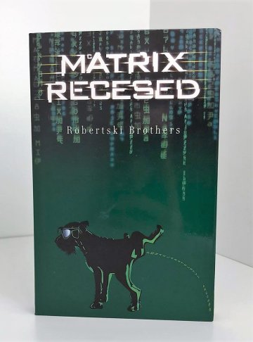 Matrix recesed, Robertski Brothers (2004)